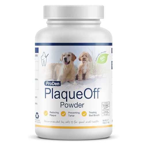 Best Supplement for Dogs Teeth