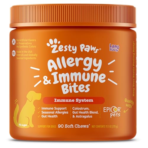 Best Supplement for Dogs With Itchy Skin