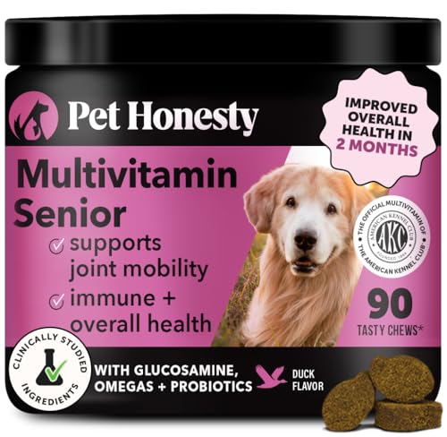 Best Supplement for Senior Dogs