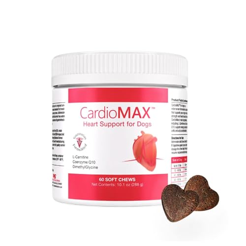 Best Supplements for Dogs With Heart Disease