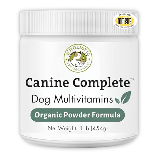 Best Supplements to Add to Homemade Dog Food