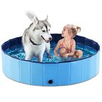 Best Swimming Pool for Dogs