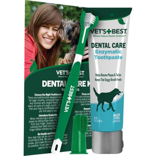 Best Teeth Cleaning Products for Dogs