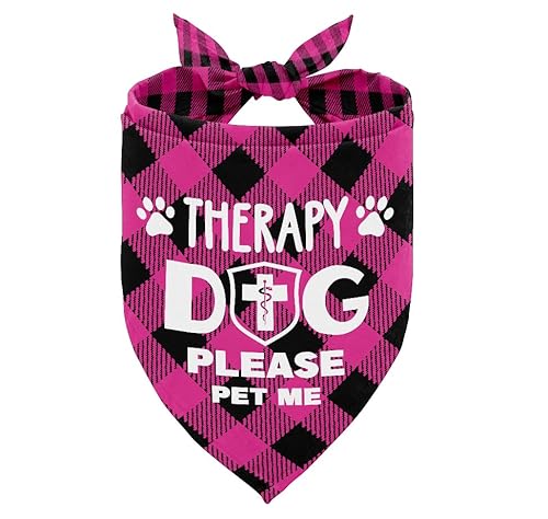 Best Therapy Dogs for Autism