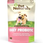 Best Thing for a Dog to Heal Its Gut Naturally