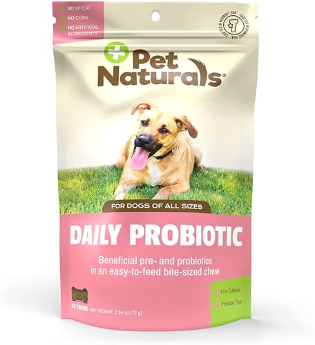 Best Thing for a Dog to Heal Its Gut Naturally