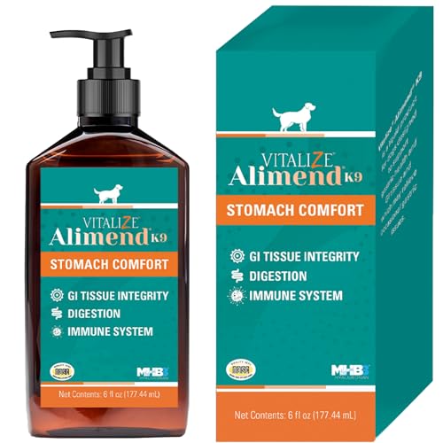 Best Thing to Feed a Dog With an Upset Stomach