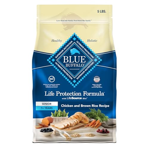 Best Things for Senior Dogs