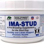 Best Time to Stud a Dog