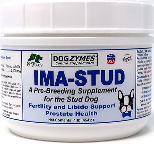 Best Time to Stud a Dog