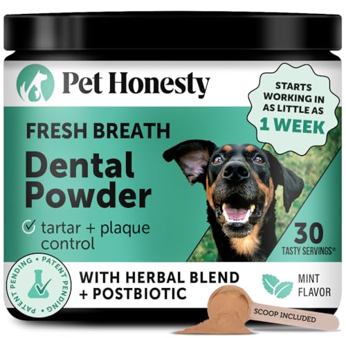 Best Tooth Powder for Dogs