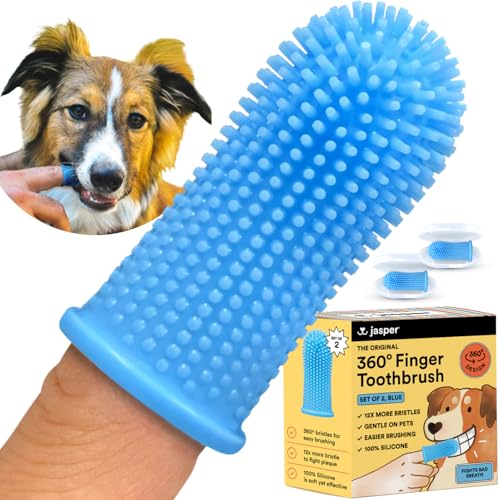 Best Toothbrush for Small Dog