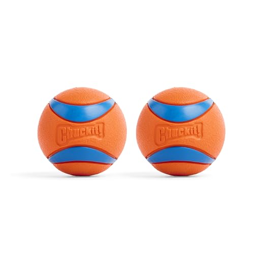 Best Toy Balls for Dogs