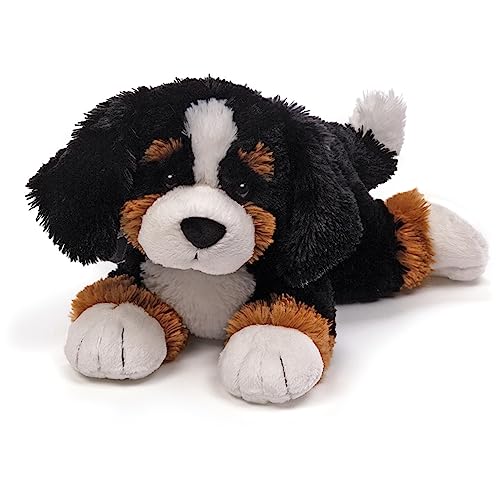 Best Toys for Bernese Mountain Dog