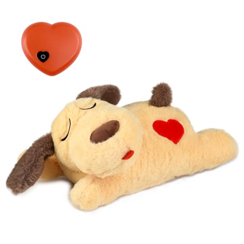 Best Toys for Grieving Dogs