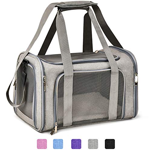 Best Travel Carriers for Dogs