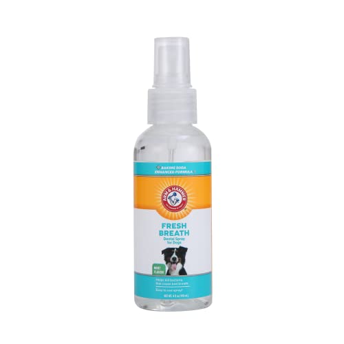 Best Treatment for Dog Breath
