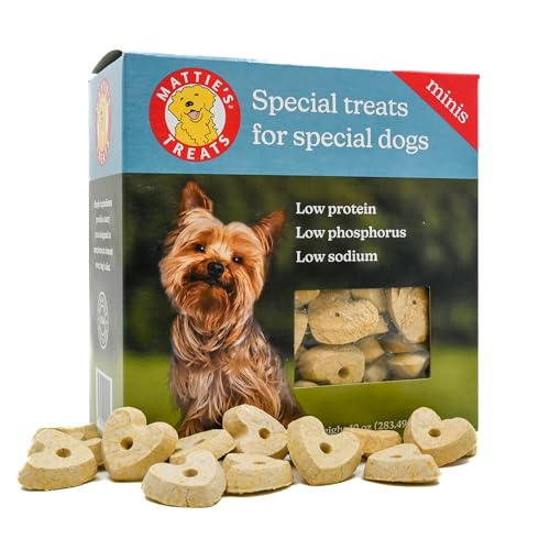 Best Treats for Dogs With Kidney Disease