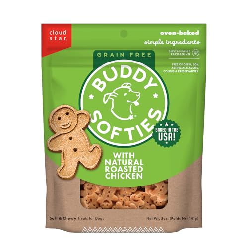 Best Treats for Dogs With No Teeth