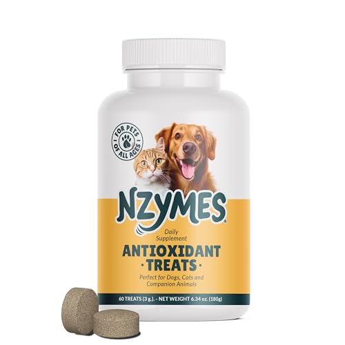 Best Treats for Dogs With Seizures