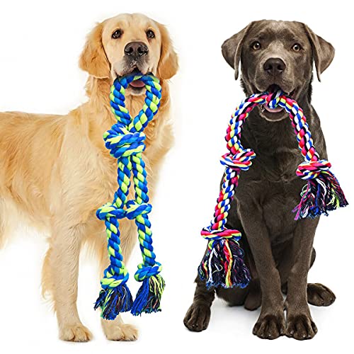 Best Tug of War Toys for Large Dogs
