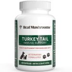 Best Turkey Tail Supplement for Dogs