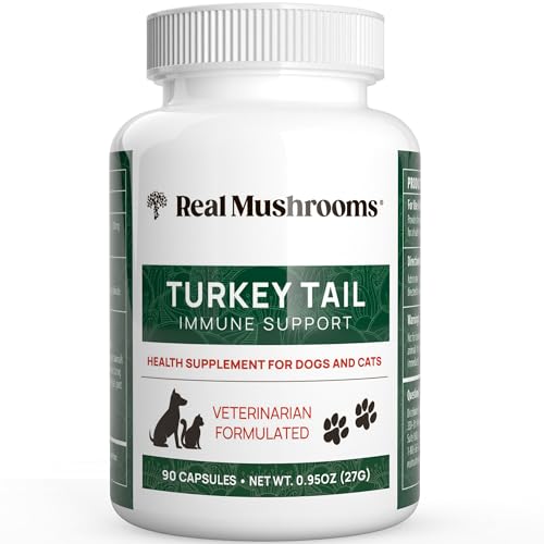 Best Turkey Tail Supplement for Dogs