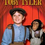 Best Tv to Engage Dogs