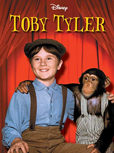 Best Tv to Engage Dogs