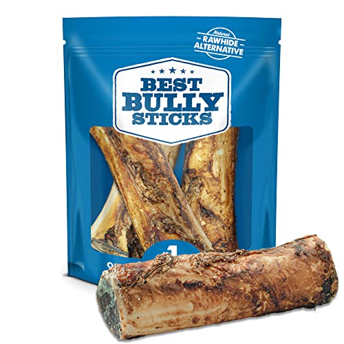 Best Type of Bones for Dogs