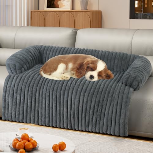 Best Type of Couch for Dogs
