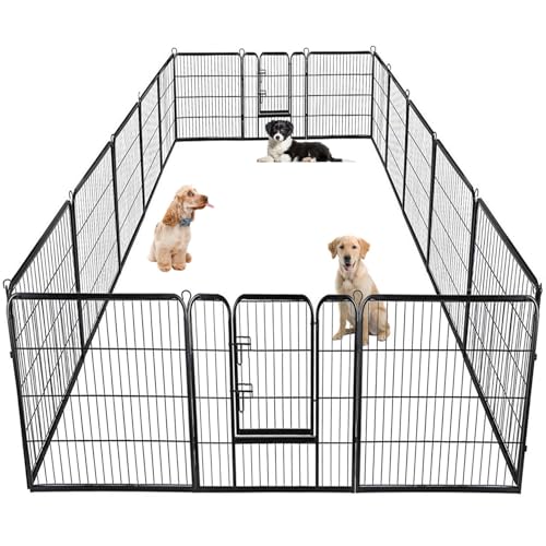 Best Type of Fence for Dogs