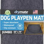 Best Type of Flooring for Dogs