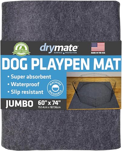 Best Type of Flooring for Dogs