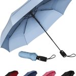 Best Umbrella for Dog Walking