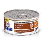 Best Vegetables for Dogs With Kidney Disease