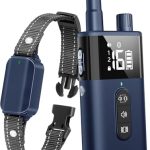 Best Vibrate Collar for Dogs