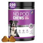 Best Vitamin B for Dogs Who Eat Poop