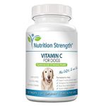 Best Vitamin C for Dogs