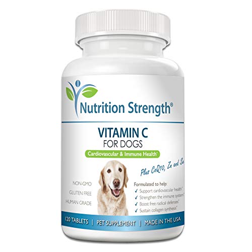 Best Vitamin C for Dogs