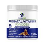 Best Vitamins for Pregnant Dogs