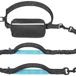 Best Waist Leash for Dogs