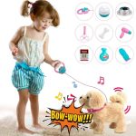Best Walking Dog Toy With Leash