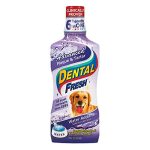 Best Water Additive for Dogs Teeth