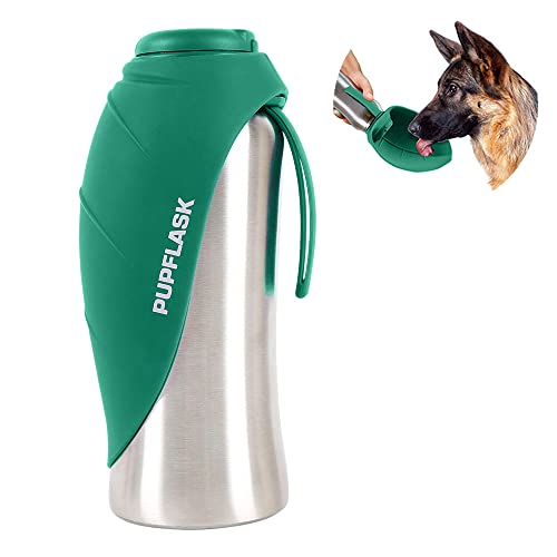 Best Water Bottles for Dogs