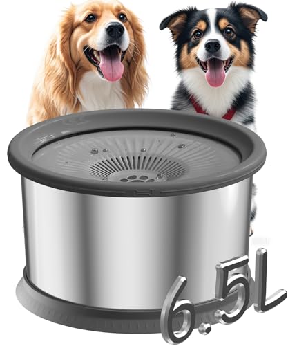 Best Water Bowl for Large Dogs