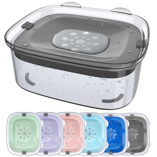 Best Water Dish for Dogs