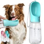 Best Water for Dogs to Drink