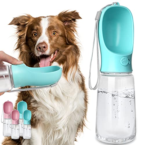 Best Water for Dogs to Drink
