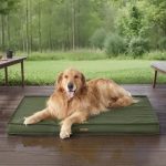 Best Waterproof Outdoor Dog Bed